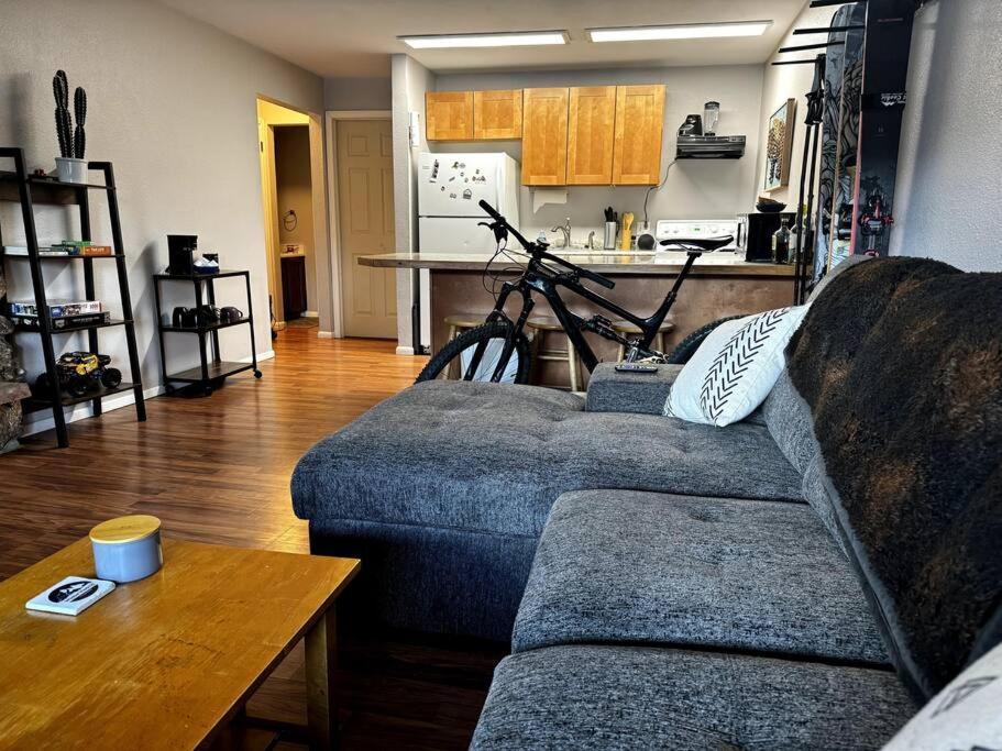 Cozy Condo In Winter Park - On Blue Bus Route - Walk To Downtown, Restaurants, Grocery Bagian luar foto
